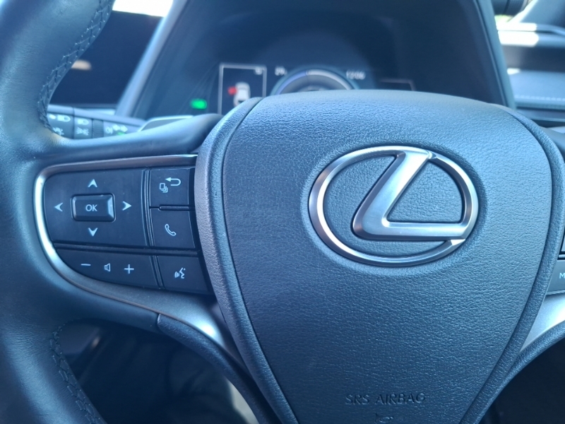 Lexus UX 300H 2.0 F-sport Takumi Cvt Grey #12