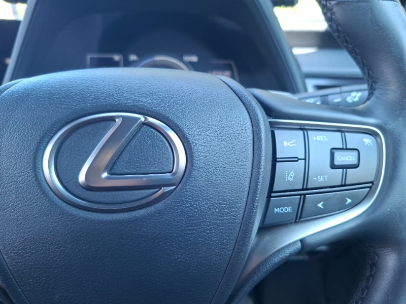 Lexus UX 300H 2.0 F-sport Takumi Cvt Grey #13