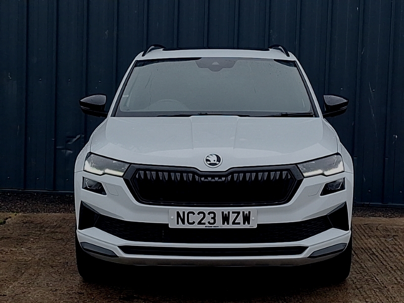 Skoda Karoq Skoda Estate 1.5 Tsi Se L Dsg Blue #14