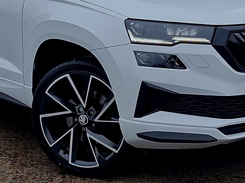 Skoda Karoq Skoda Estate 1.5 Tsi Se L Dsg Blue #20