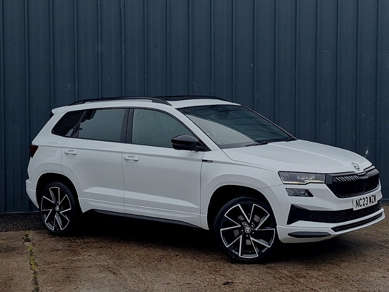 Skoda Karoq Skoda Estate 1.5 Tsi Se L Dsg Blue #7