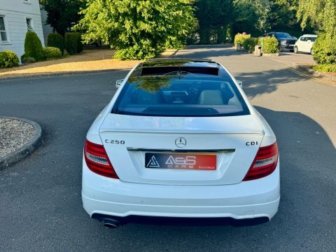 Mercedes-Benz C Class Estate 2.1 C250 Cdi Amg Sport Edition G-tronic Eu Silver #11