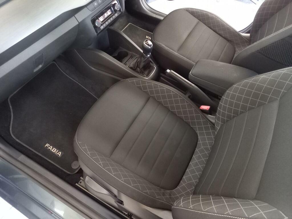 Skoda Fabia 1.2 Tsi Se Euro 6 Ss Brown #10