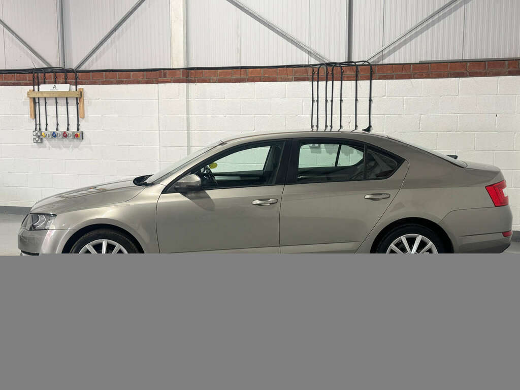Skoda Octavia 1.6 Octavia Elegance Tdi Cr Beige #2