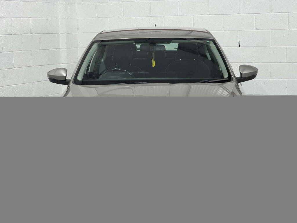 Skoda Octavia 1.6 Octavia Elegance Tdi Cr Beige