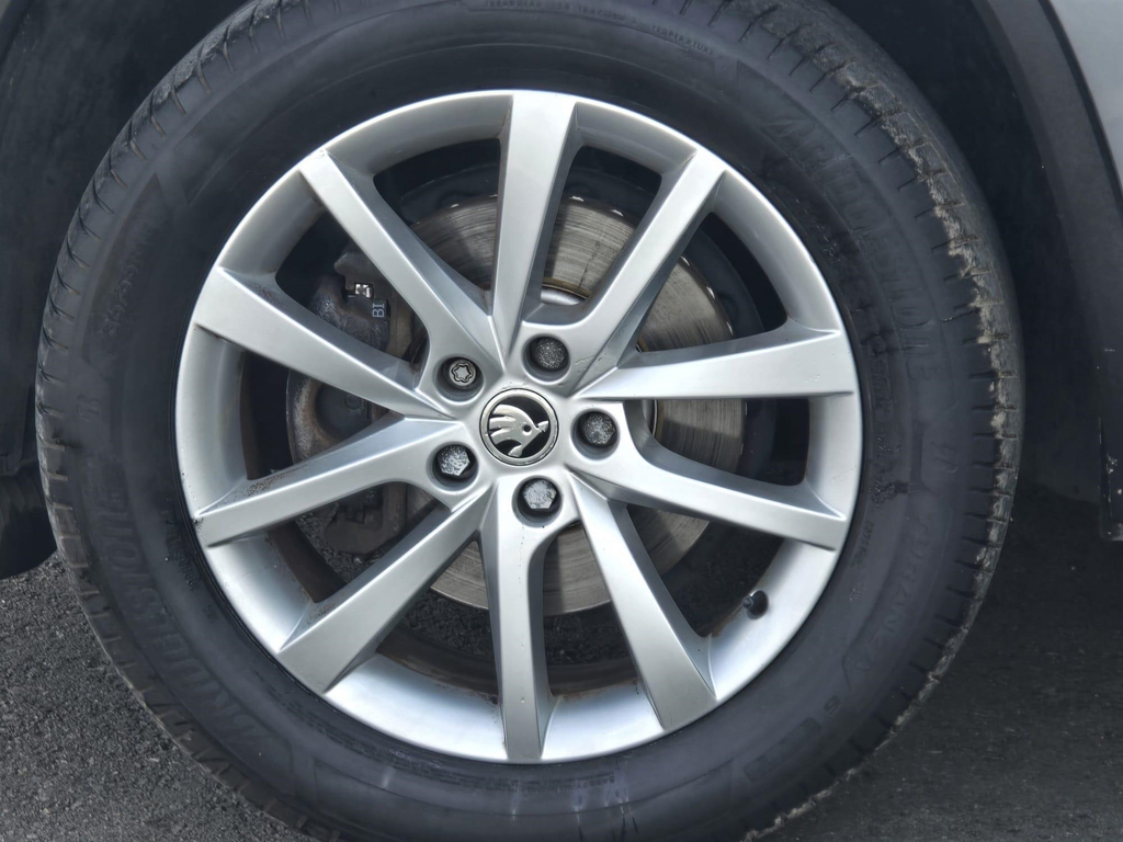 Skoda Kodiaq  White #61