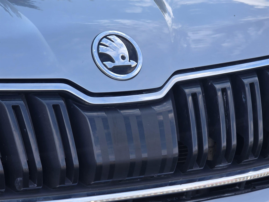 Skoda Kodiaq  White #86