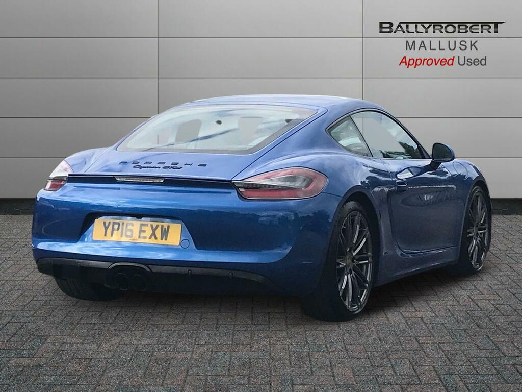 Porsche Cayman 3.8 981 Gt4 Euro 6 Silver #15