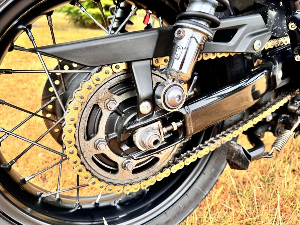 Triumph Black Black #5