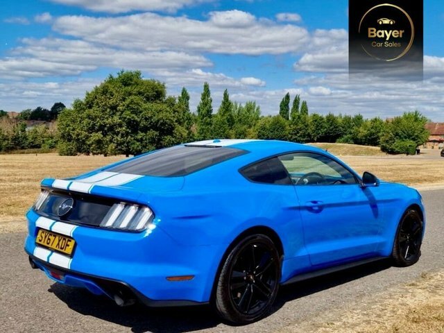 Ford Mustang Ecoboost Fastback Blue #4