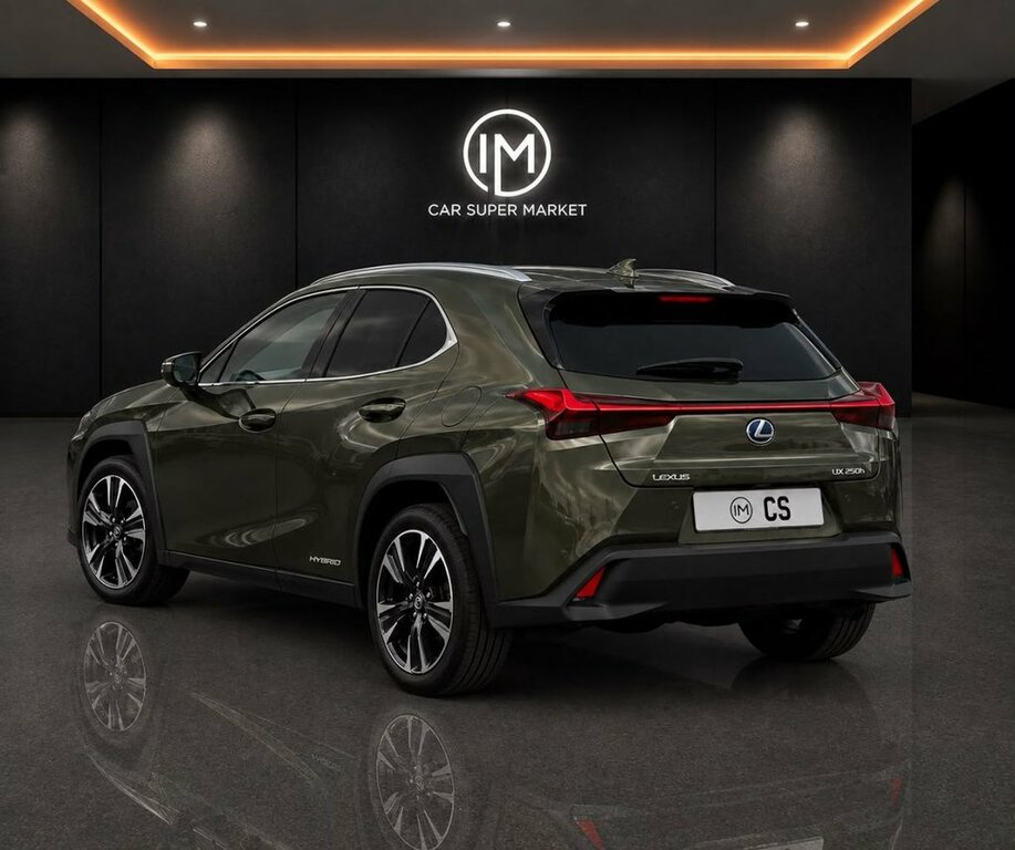 Lexus UX 250H 2.0 F-sport Cvt Premium Plus Grey #12