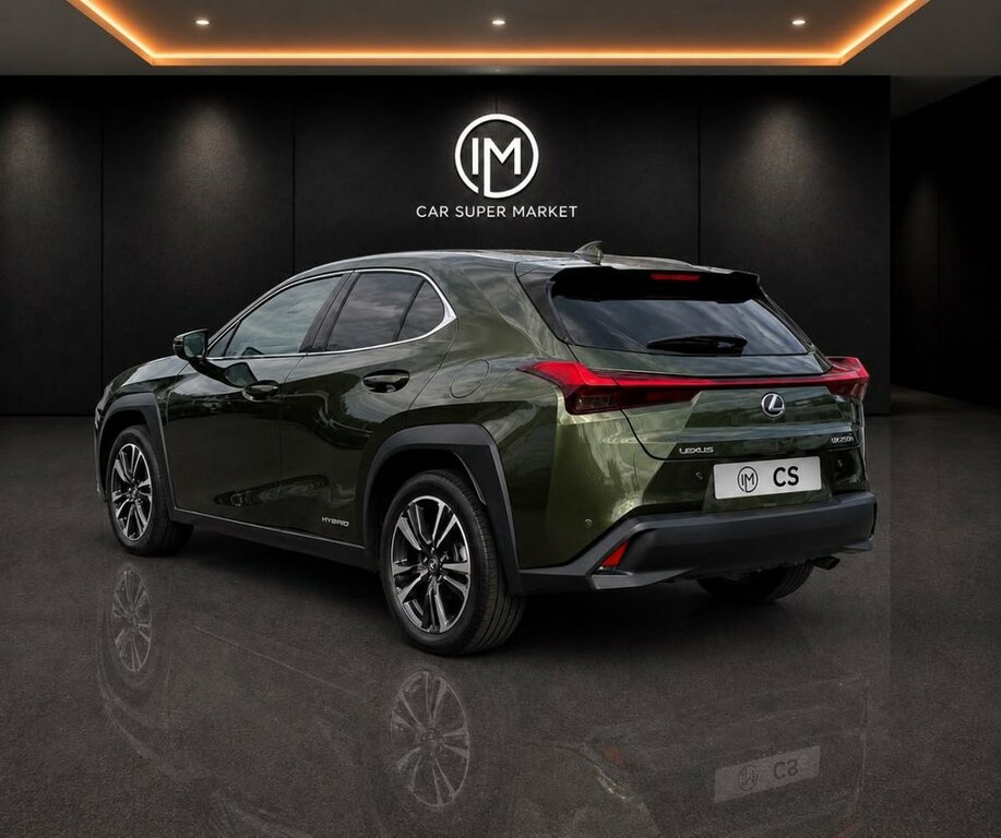 Lexus UX 250H 2.0 F-sport Cvt Premium Plus Grey #14