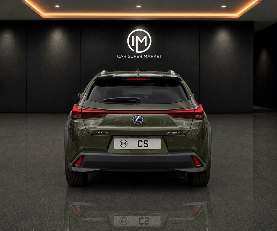 Lexus UX 250H 2.0 F-sport Cvt Premium Plus Grey #13