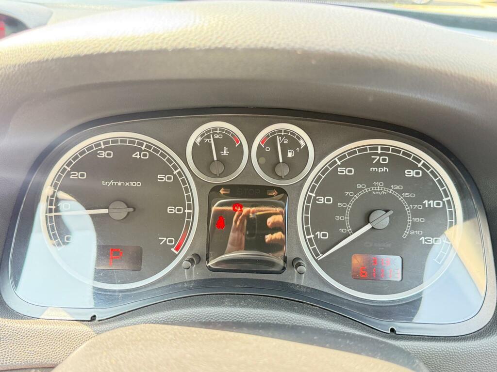 Peugeot 307 #25