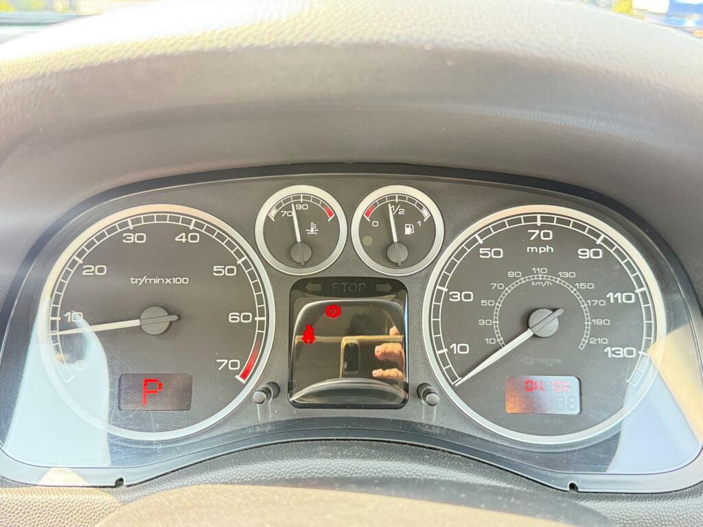 Peugeot 307 #24