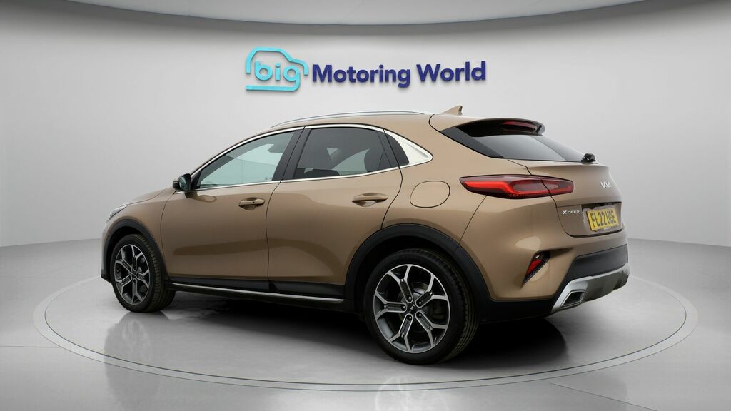 Kia Xceed 3 Brown #5