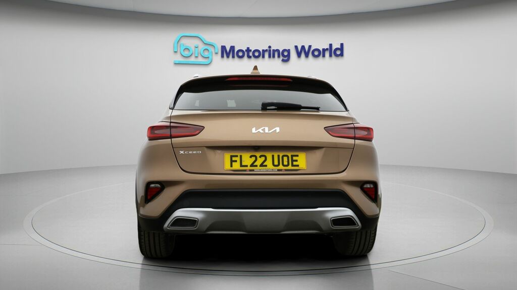 Kia Xceed 3 Brown #6