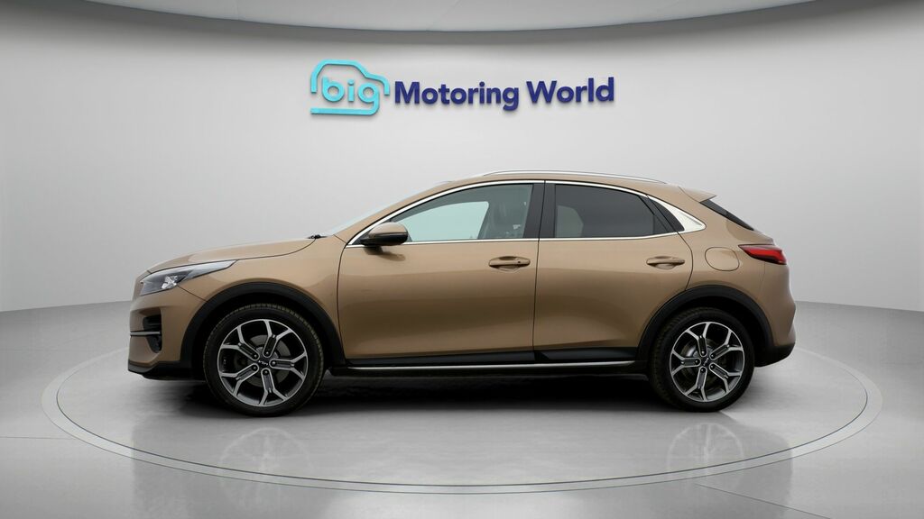 Kia Xceed 3 Brown #4