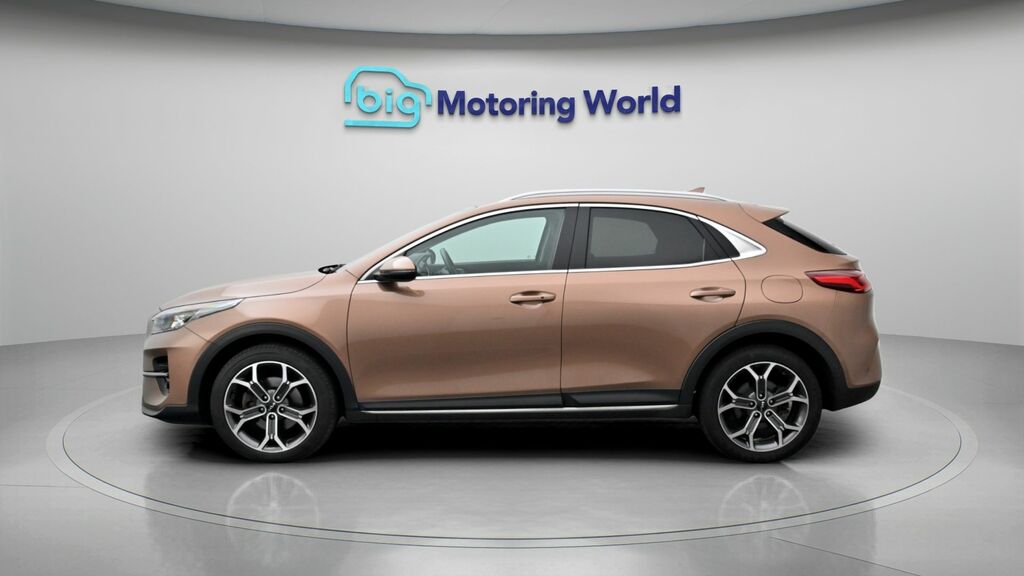 Kia Xceed 3 Brown #4