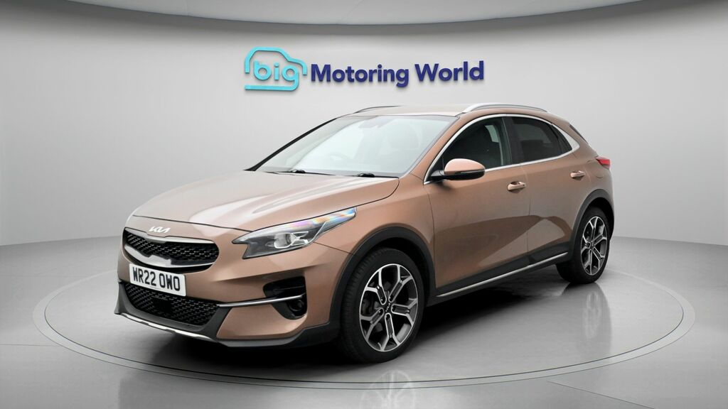 Kia Xceed 3 Brown #3