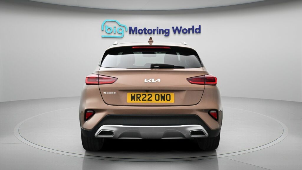 Kia Xceed 3 Brown #6