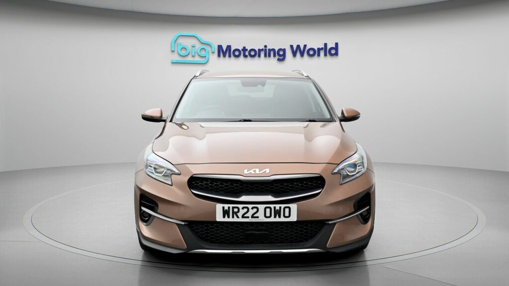 Kia Xceed 3 Brown #2