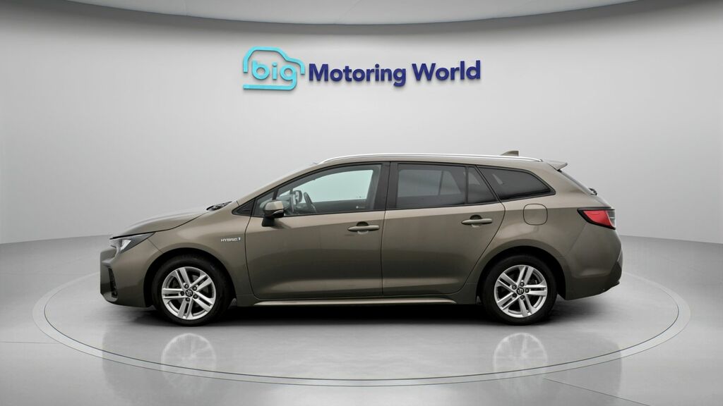 Suzuki Swace Sz-t Brown #4