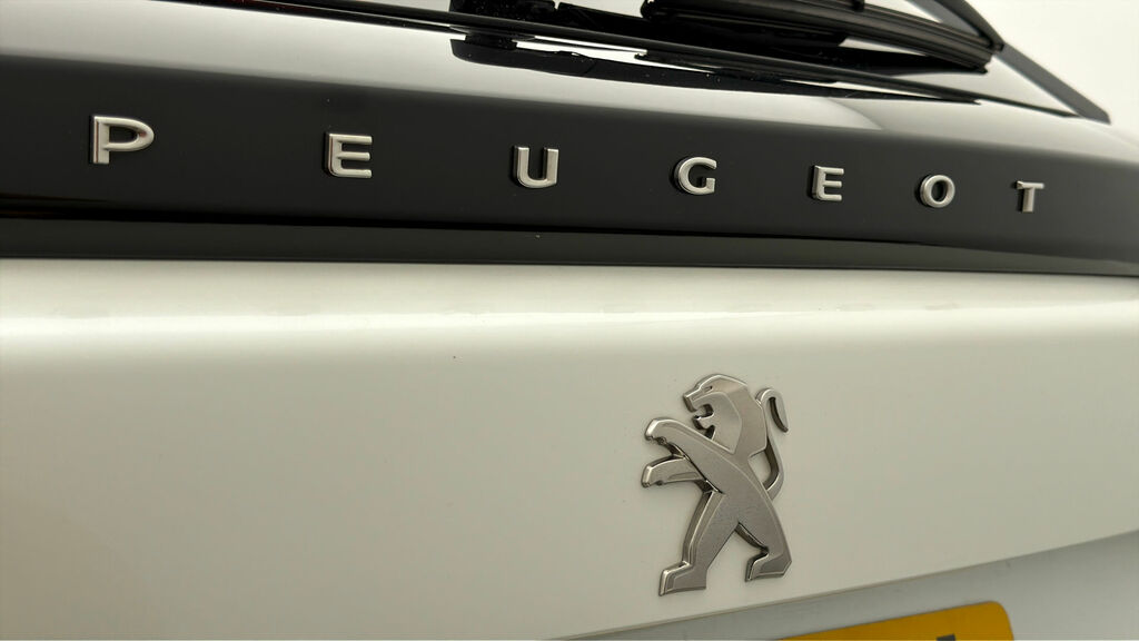 Peugeot e-2008 50Kwh Active Premium 7Kw Charger  #19
