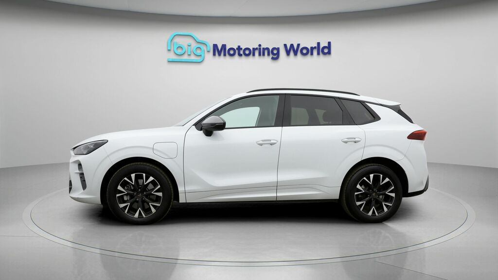 Cupra Terramar V1 White #4