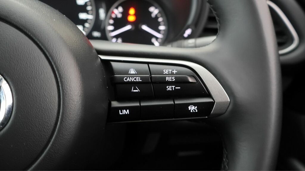 Mazda CX-30 2.5 E-skyactiv G Mhev Homura Euro 6 Ss #26