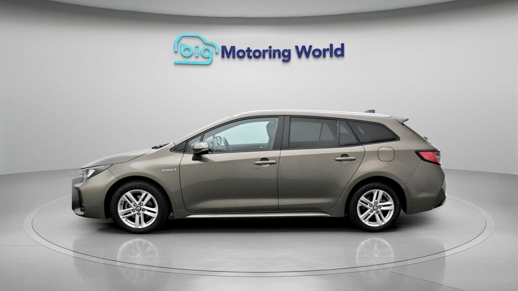 Suzuki Swace Motion Brown #4