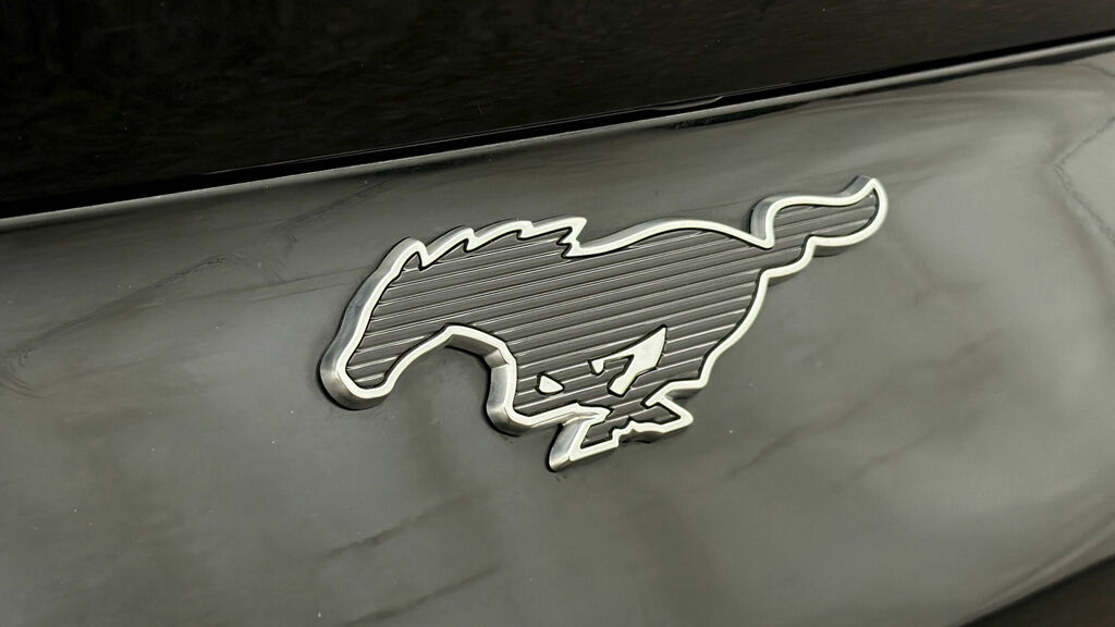 Ford Mustang Mach-E 358Kw Gt 91Kwh Awd Pan Roof Red #19