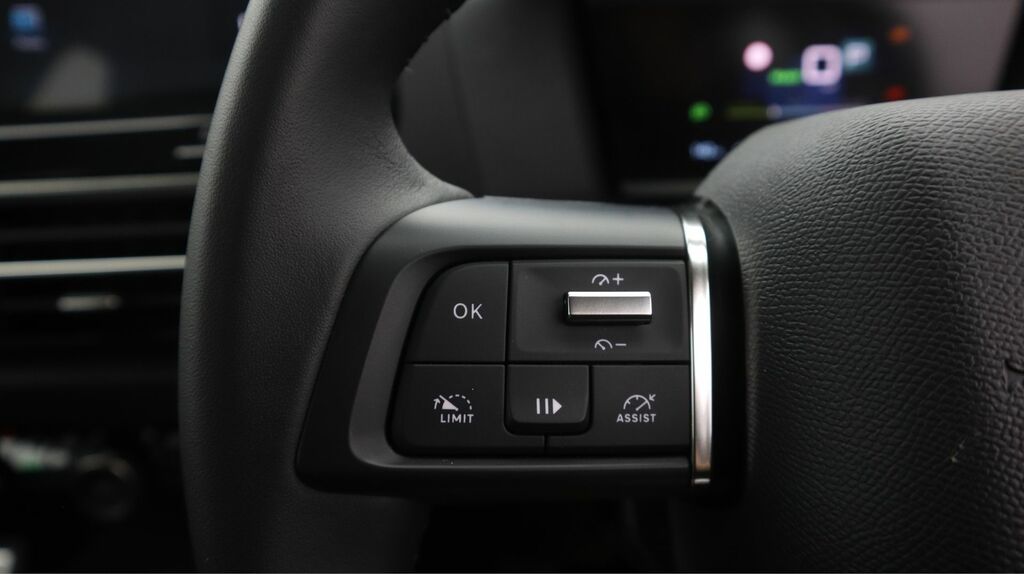 Citroen e-C4 50Kwh Shine Fastback 11Kw Charg Grey #23