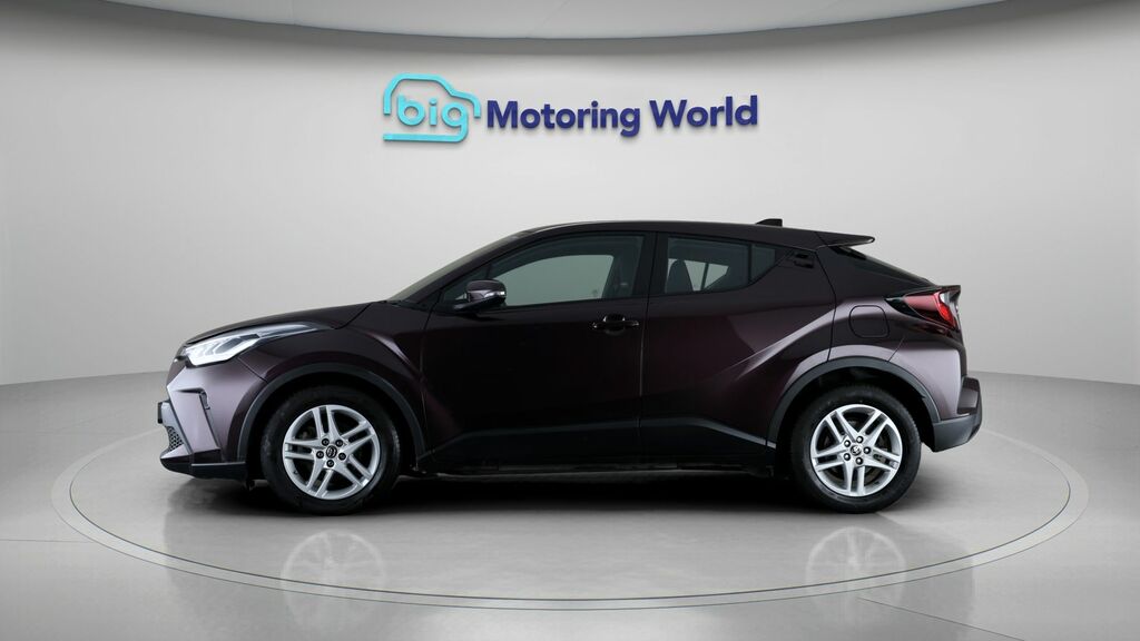 Toyota C-Hr Icon Purple #4