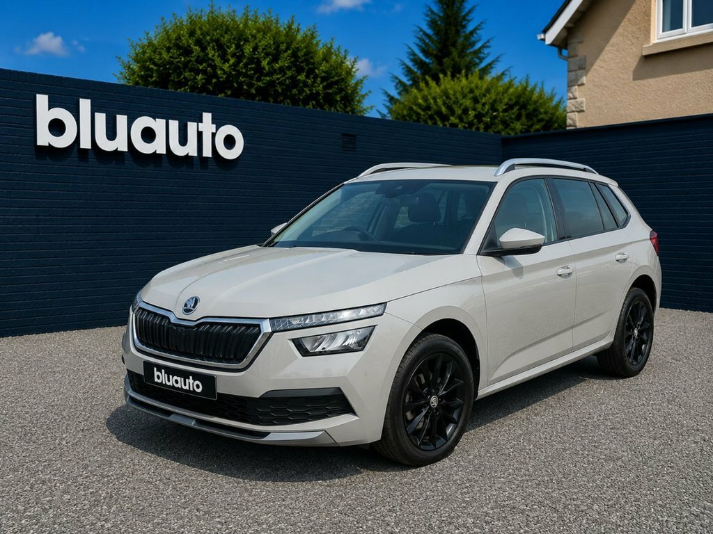Skoda Kamiq 1L Se L Grey