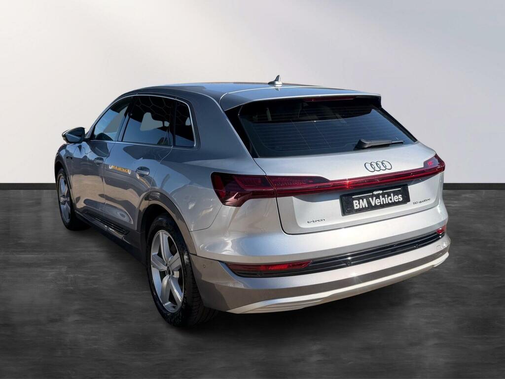 Audi E-tron Suv 50 Technik Quattro 71.2Kwh 11Kw Char Silver #5
