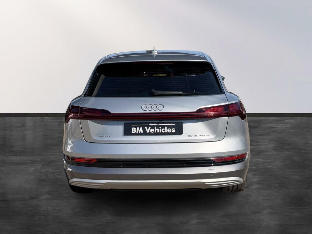 Audi E-tron Suv 50 Technik Quattro 71.2Kwh 11Kw Char Silver #6
