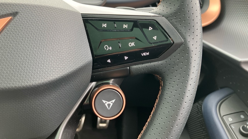 Cupra Tavascan 210Kw V1 77Kwh 2024 Blue #27