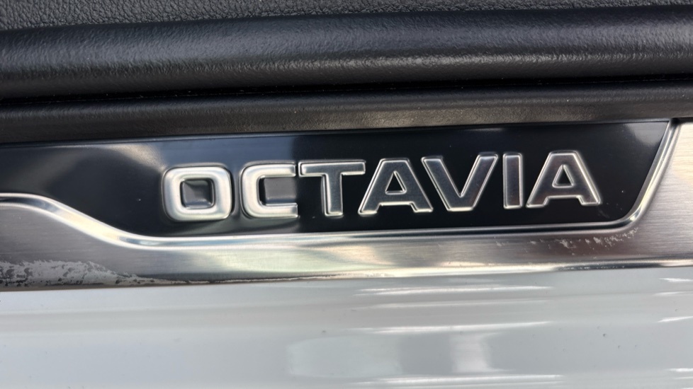 Skoda Octavia Estate 1.5 Tsi 150Ps E-tec Sportline Dsg Blue #46