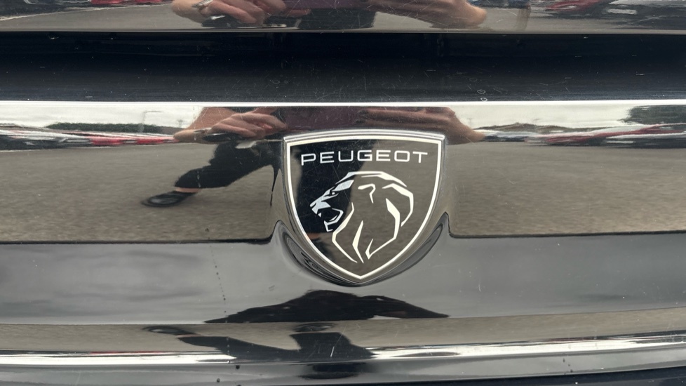 Peugeot 308 115Kw First Edition 54Kwh Grey #20