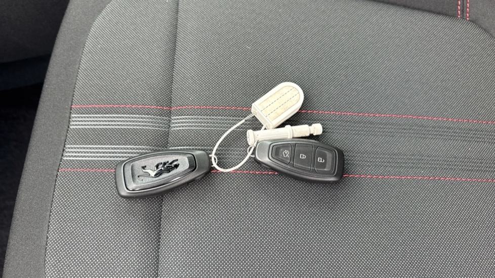 Ford Puma 1.0 Ecoboost Hybrid Mhev St-line X - 2025 74 White #19