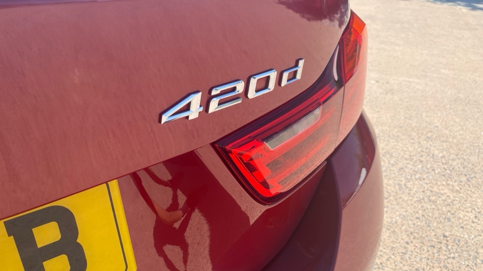 BMW 4 Series 2.0 420I Sport Euro 6 Ss Grey #38
