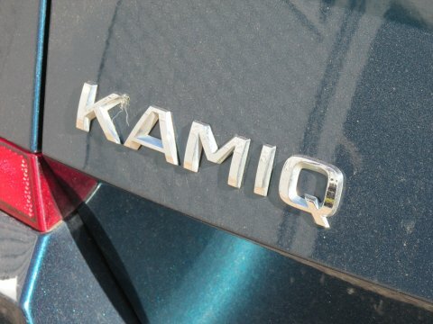 Skoda Kamiq 2020 69 1.5 #13