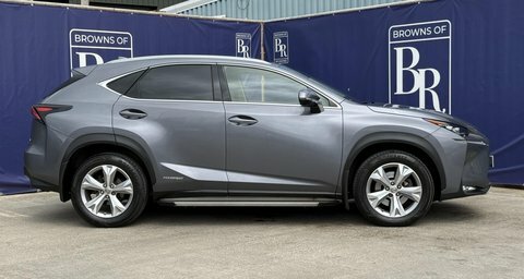 Lexus NX 2.5 300H Premier Grey #3