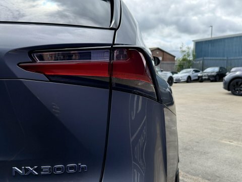 Lexus NX Suv 2.5 300H Luxury E-cvt 4Wd Euro 6 Ss 20 Red #16
