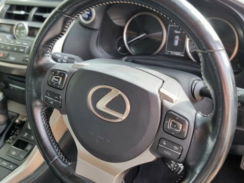 Lexus NX 2.5 300H Sport E-cvt 4Wd Euro 6 Ss Grey #28