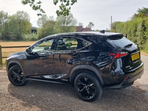 Lexus NX 2.5 300H Sport E-cvt 4Wd Euro 6 Ss Grey #9