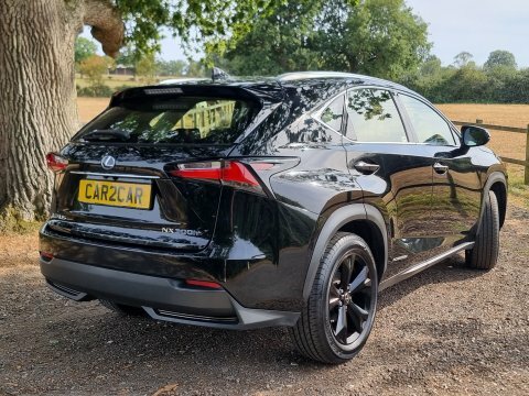 Lexus NX Sport Black #6