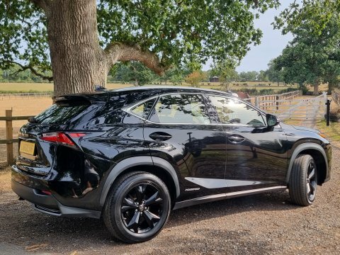 Lexus NX Sport Black #5