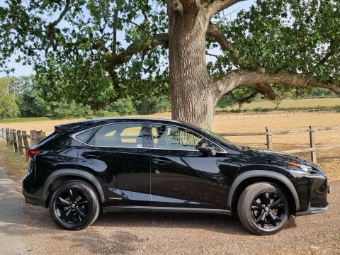 Lexus NX Sport Black #4